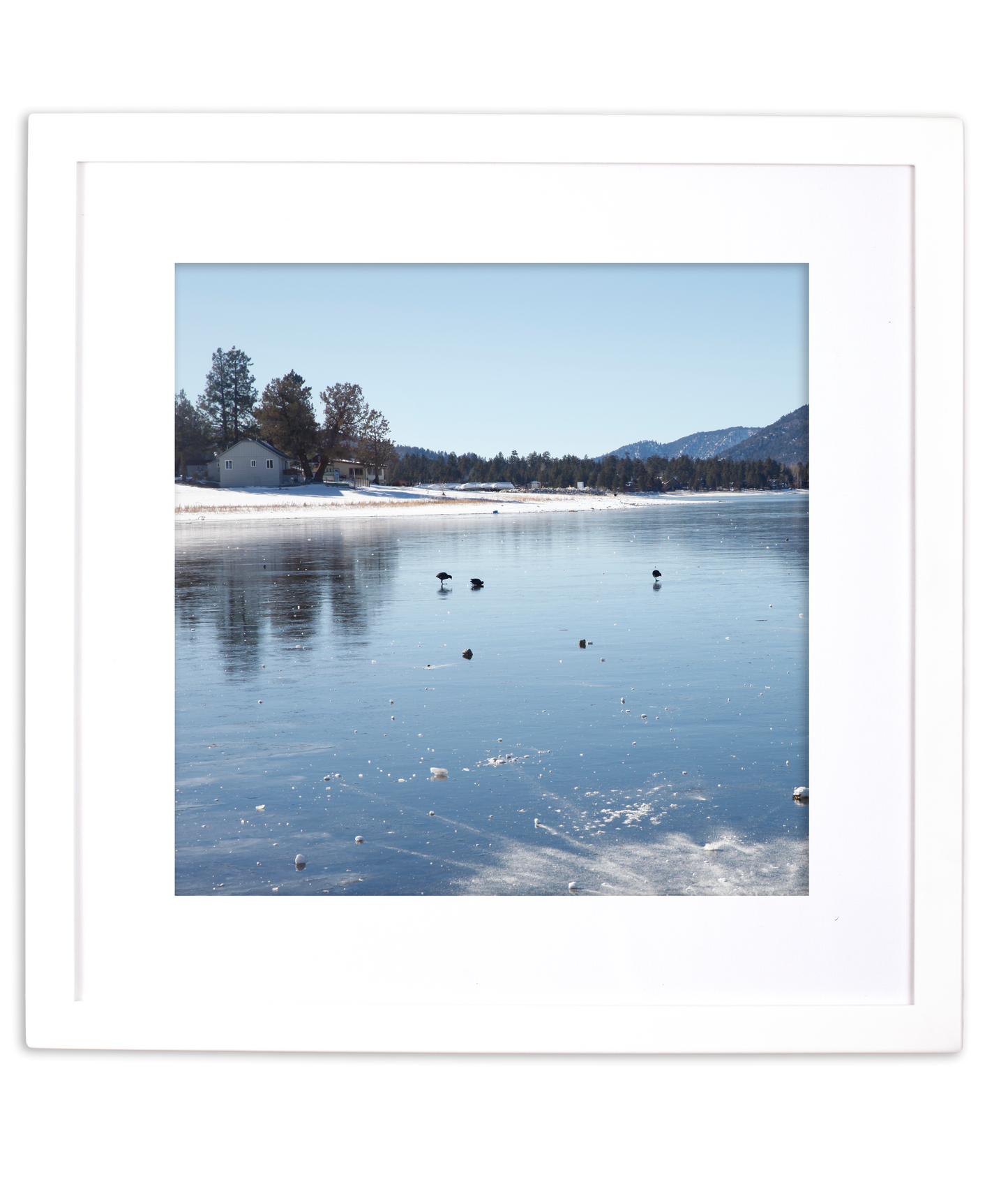 dynamicSQUARE for 12x12 prints & photos
